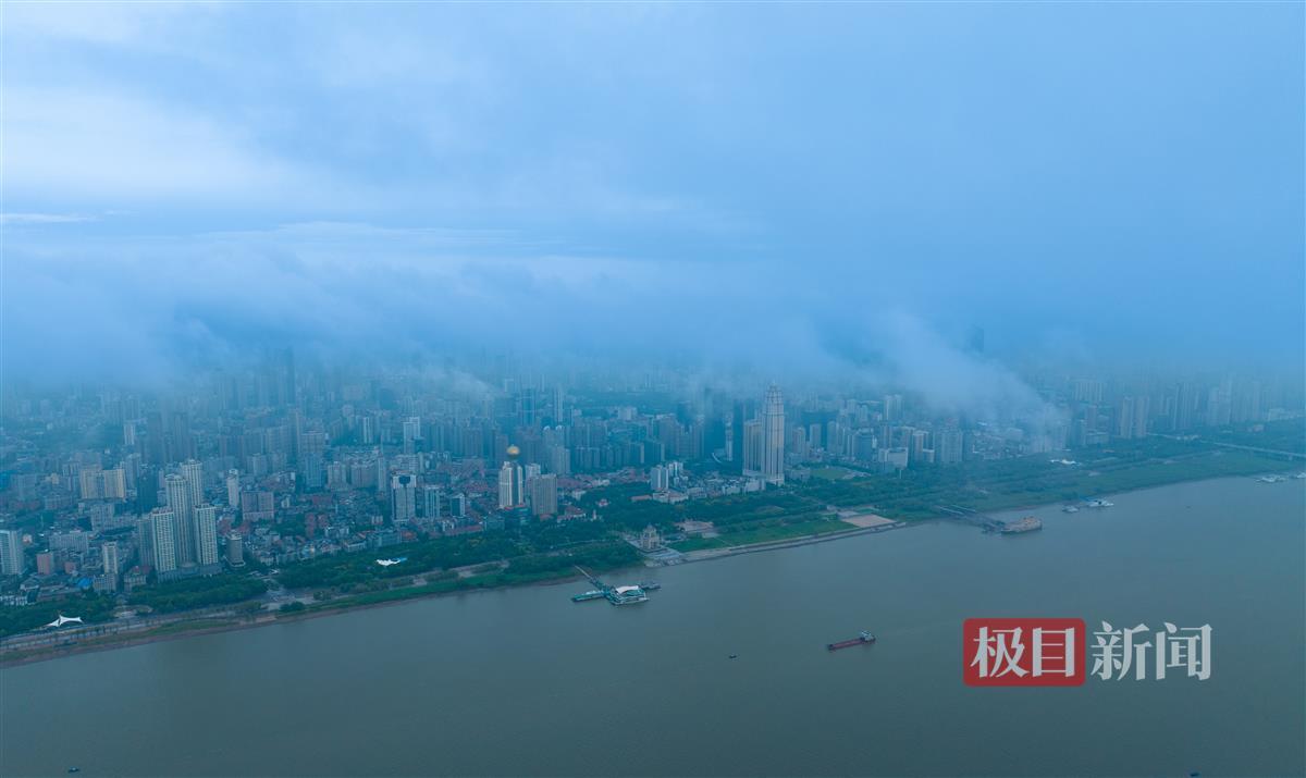 天誉国际官网是正规公司吗